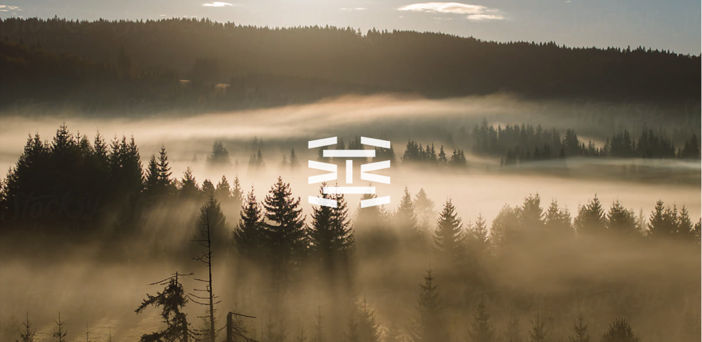 Foto viz_Монтажная область 1